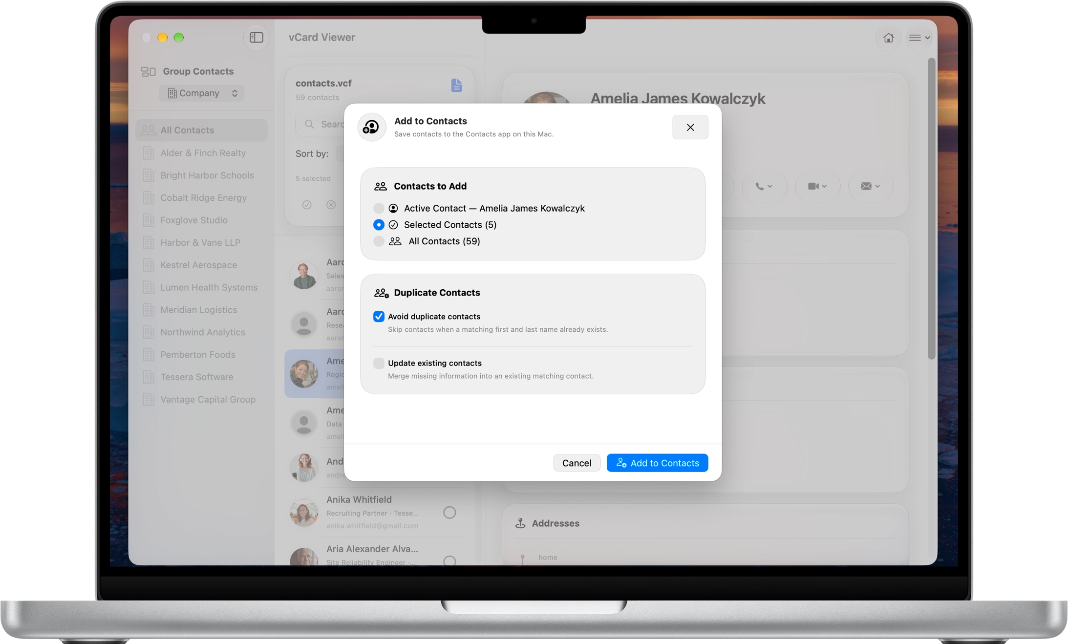 vCard Viewer Add to Contacts window showing active, selected and all contact import options with duplicate protection and update existing contact settings