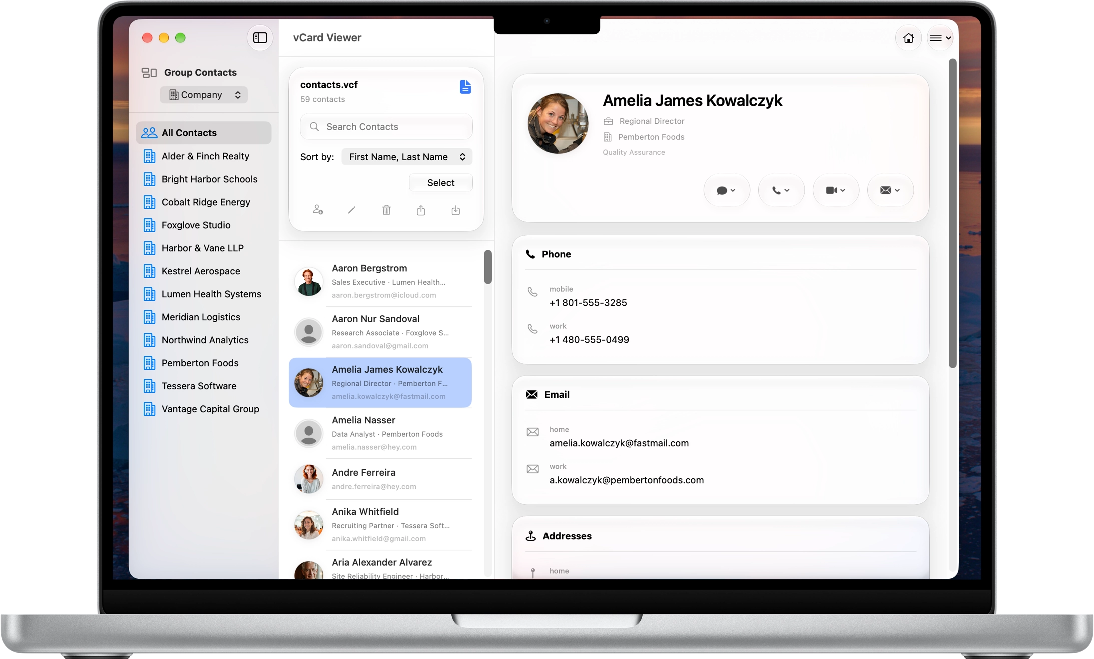 vCard Viewer contact workspace with grouped contacts, contact list, toolbar controls and detailed contact information